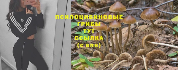 эйфоретик Нягань